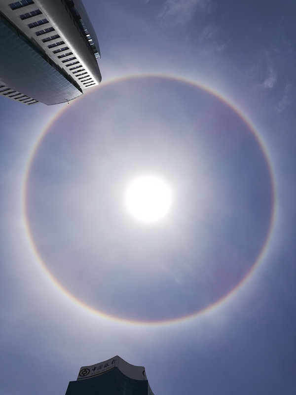 生活類(lèi) 潘太增—太陽(yáng)光韻_副本.jpg