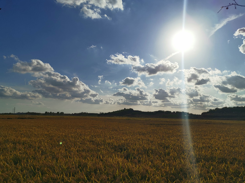 風(fēng)光類(lèi) 謝曉燕—田野掠影 (2)_副本.jpg 風(fēng)光類(lèi) 謝曉燕—田野掠影 (2)_副本.jpg